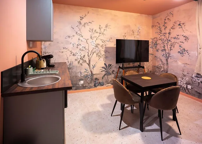 Appartement Le Jardin Secret - Zen En Centre St-quentin Saint-Quentin (Aisne)